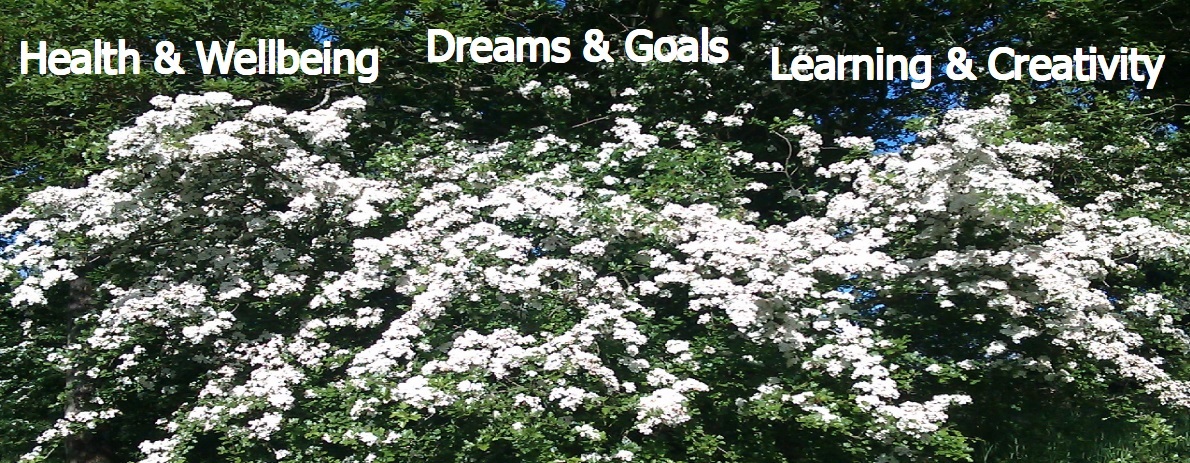 Image of may blossom with words Health and Wellbeing, Dreams and Goals,  Learning and Creativity